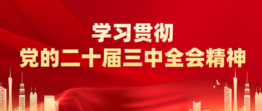 新闻多一点丨读懂全会《决定》中的这些名词（九）